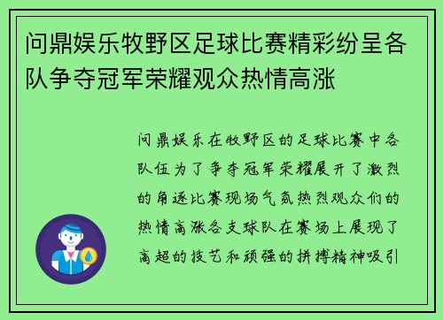 问鼎娱乐牧野区足球比赛精彩纷呈各队争夺冠军荣耀观众热情高涨