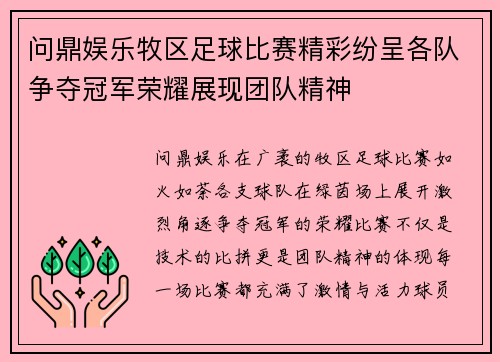 问鼎娱乐牧区足球比赛精彩纷呈各队争夺冠军荣耀展现团队精神
